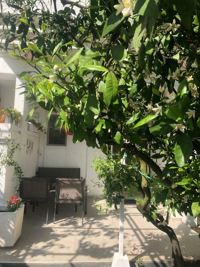 Apartments Mia Patria Улцинь Экстерьер фото