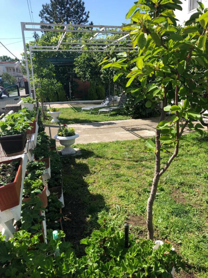 Apartments Mia Patria Улцинь Экстерьер фото